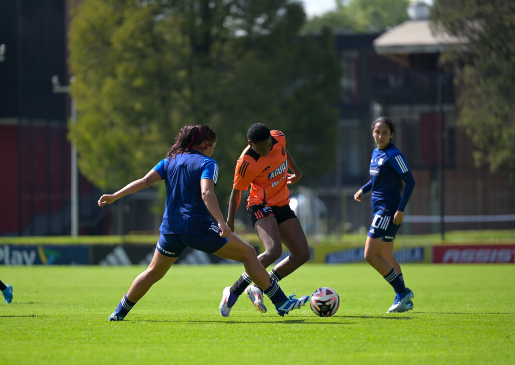 Selección Femenina Mayores, microciclo enero: jugadoras locales